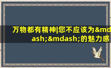 万物都有精神|您不应该为——的魅力感到贪婪